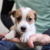 Thumbnail of post image 071