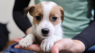 Thumbnail of post image 043
