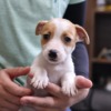 Thumbnail of post image 048