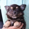 Thumbnail of related posts 045