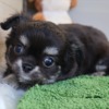 Thumbnail of related posts 146