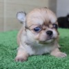 Thumbnail of related posts 183