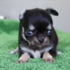 Thumbnail of related posts 103
