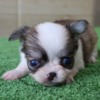 Thumbnail of related posts 155