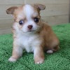 Thumbnail of related posts 144