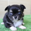 Thumbnail of related posts 157