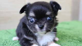 Thumbnail of post image 001
