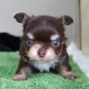 Thumbnail of related posts 062