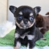 Thumbnail of post image 041