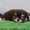Thumbnail of related posts 161