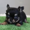 Thumbnail of related posts 005