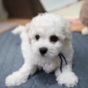 Thumbnail of related posts 137