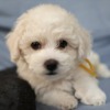 Thumbnail of related posts 157